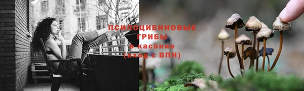 прущая мука Армянск