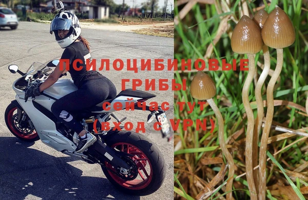 МДМА Арсеньев