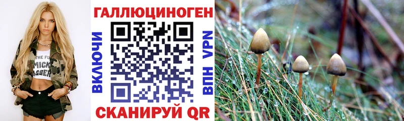 цена   Арамиль  Галлюциногенные грибы мухоморы 